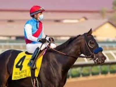 Preview: US$1 million Breeders' Cup Juvenile Fillies Turf Image 1